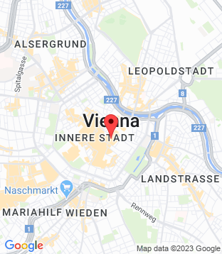 Static map with a custom marker icon