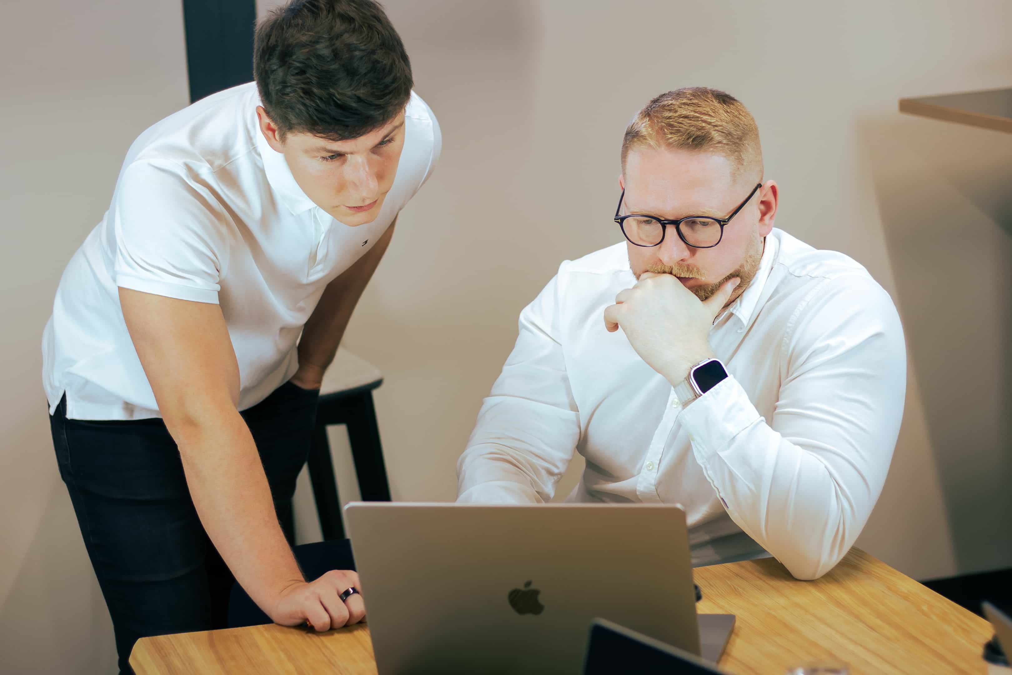 CEO demonstrating software solution on laptop during client consultation